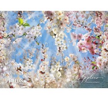 Панорама PR108 в Казани