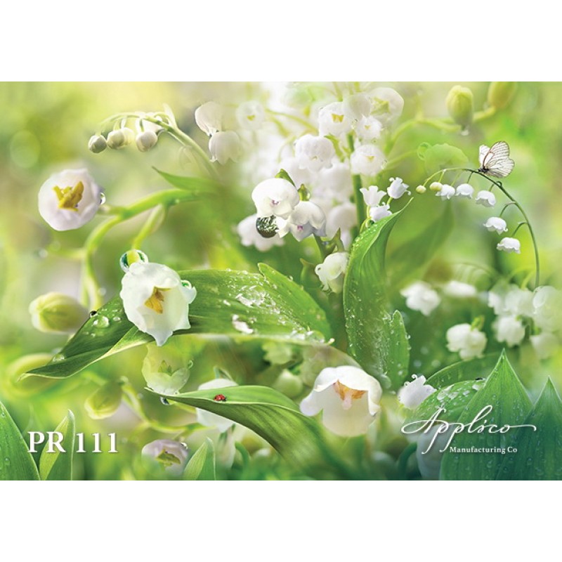 Панорама PR111 в Казани