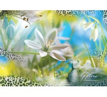 Панорама PR113