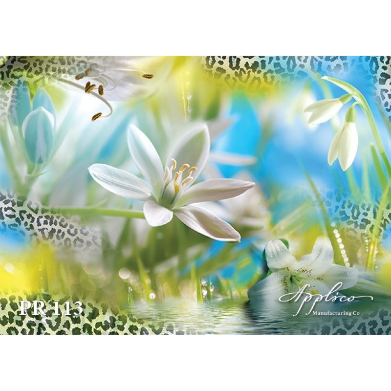 Панорама PR113 в Казани