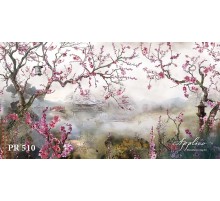 Панорама PR510 в Казани