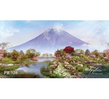 Панорама PR520