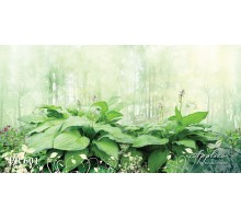 Панорама PR601