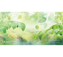 Панорама PR602 в Казани