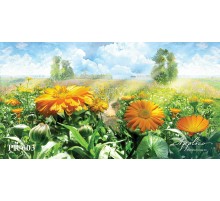 Панорама PR603 в Казани