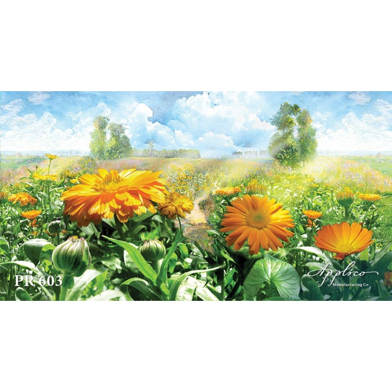 Панорама PR603 в Казани