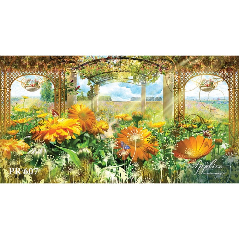 Панорама PR607 в Казани