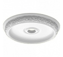 DM-0731/1 купол DECOMASTER-2 (726x105мм)