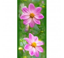 Космея Панель ПВХ в Казани