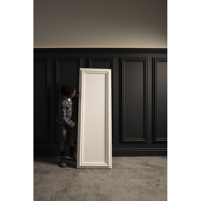 Декоративная панель W120  в Казани