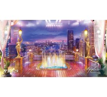 Панорама PR429