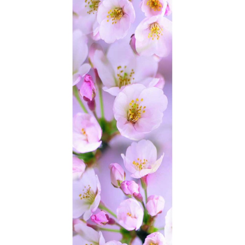 Яблоня Панель ПВХ в Казани