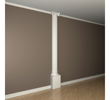 Полуколонна 1.10.205-дм.250мм