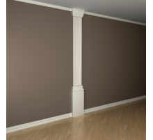 Пилястра в сборе 1.20.101 в Казани