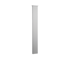 Ствол (пилястра) 4.22.302