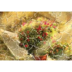 Трещины +7770 ₽