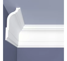 Плинтус потолочный C 14/130 в Казани