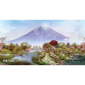 Панорама PR520