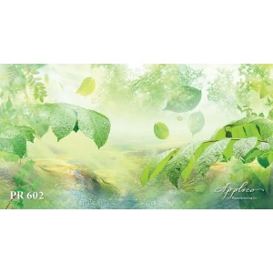 Панорама PR602