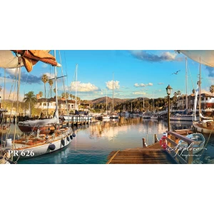 Панорама PR626