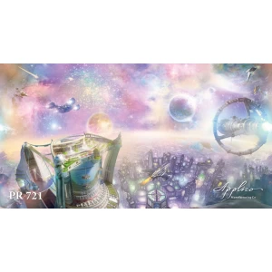 Панорама PR721