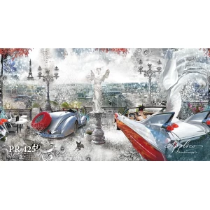 Панорама PR425